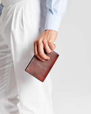 The Passport Holder